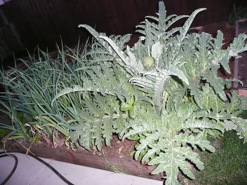 P1010301