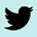 TWITTER-ICON-small