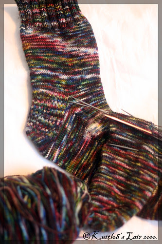 crazy wild socks dark
