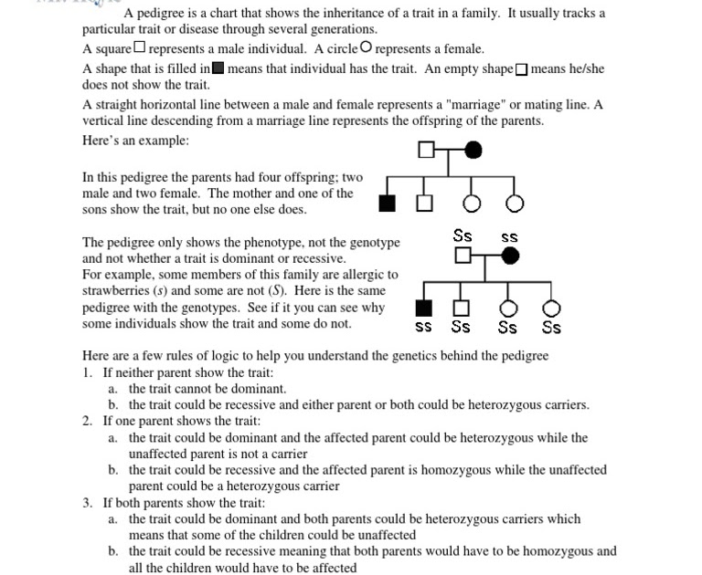 genetics-pedigree-worksheet-answers