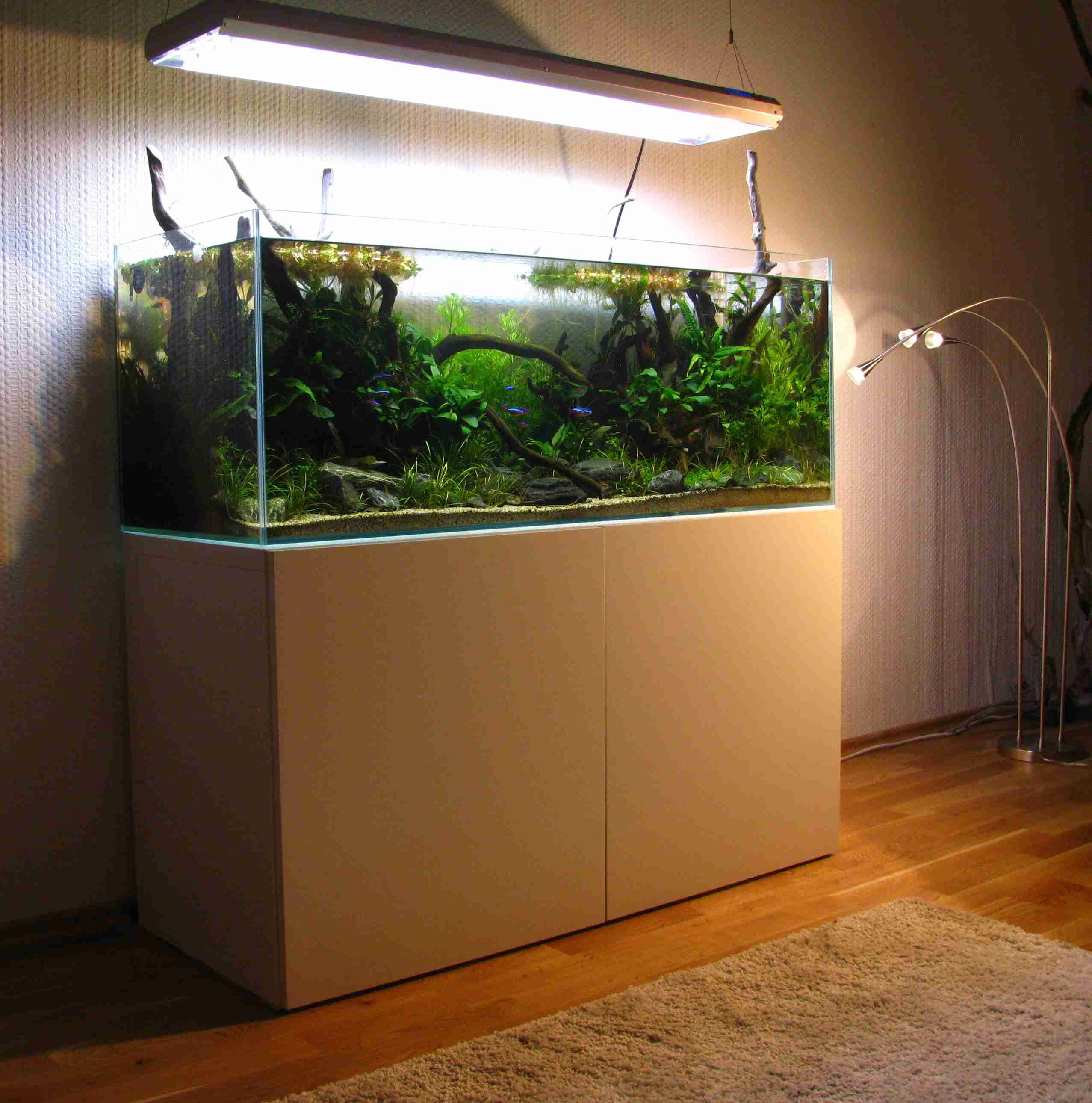 Aquarium Möbel Selber Bauen