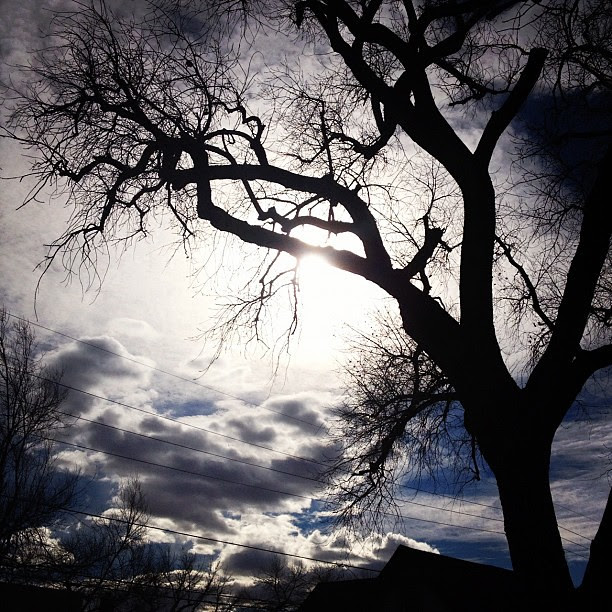 Day24 beautiful warm day today :) so nice to see the sun! 1.24.13 #jessie365 #wyoming