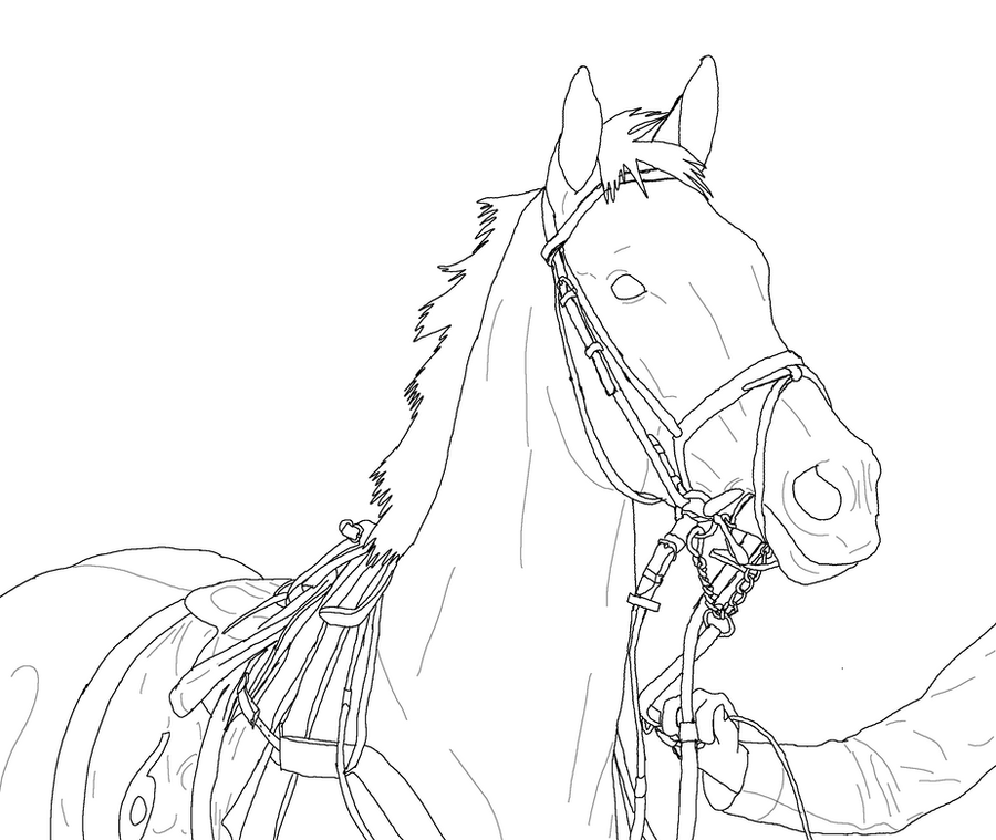 Derby Horse Coloring Page - 313+ Popular SVG File