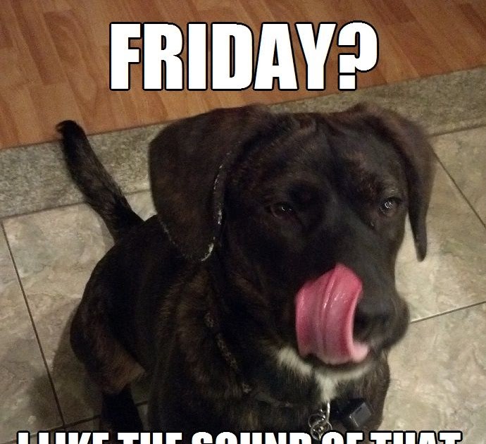 Funny Unique Memes Tgif Meme tgif meme Funny Unique Memes Tgif Meme tgif meme