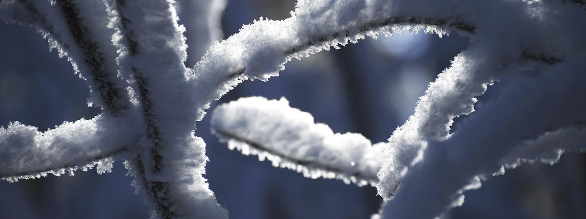 Twenty departments ranging from the North to l\'Eure-et-Loir and the Calvados to the Ardennes have been placed in vigilance orange by Météo France, on January 6, 2017.