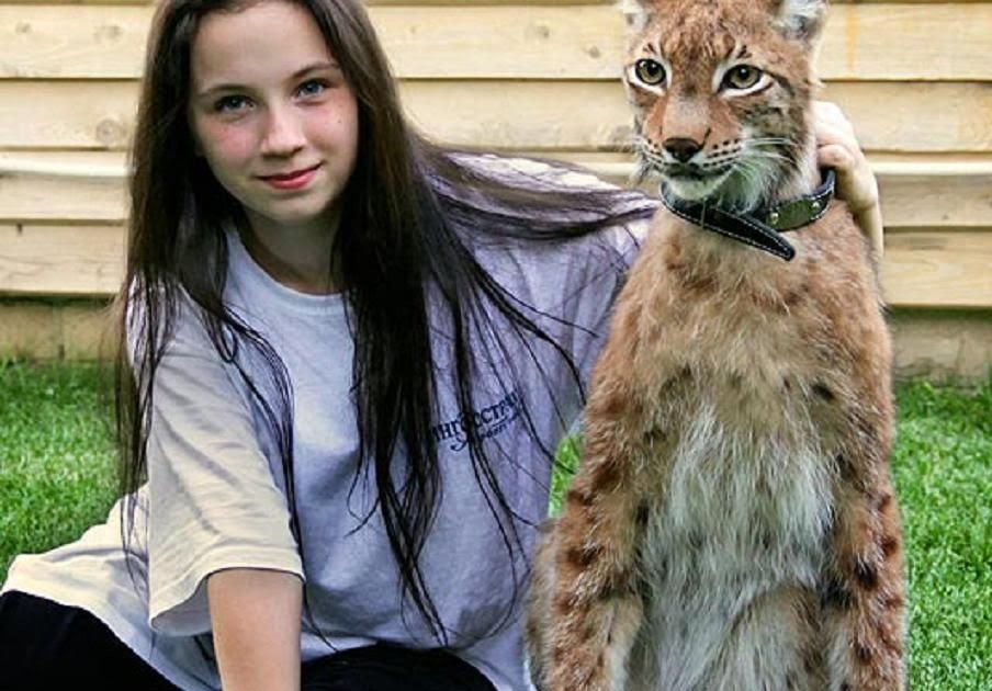 Big Pets You Can Own - SPETW