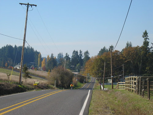 Fall Foliage, Phillips Rd