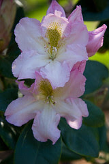 IMG_9089.jpg