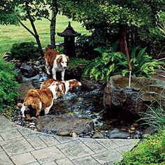 Pet Friendly And Contemporary Landscaping Ideas | Home Décor Online