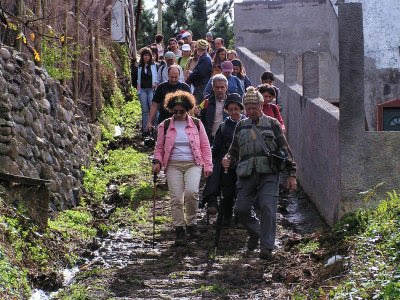 20060225-ap-897