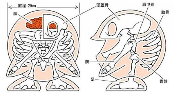 アニメ画像について トップ100バボちゃん イラスト