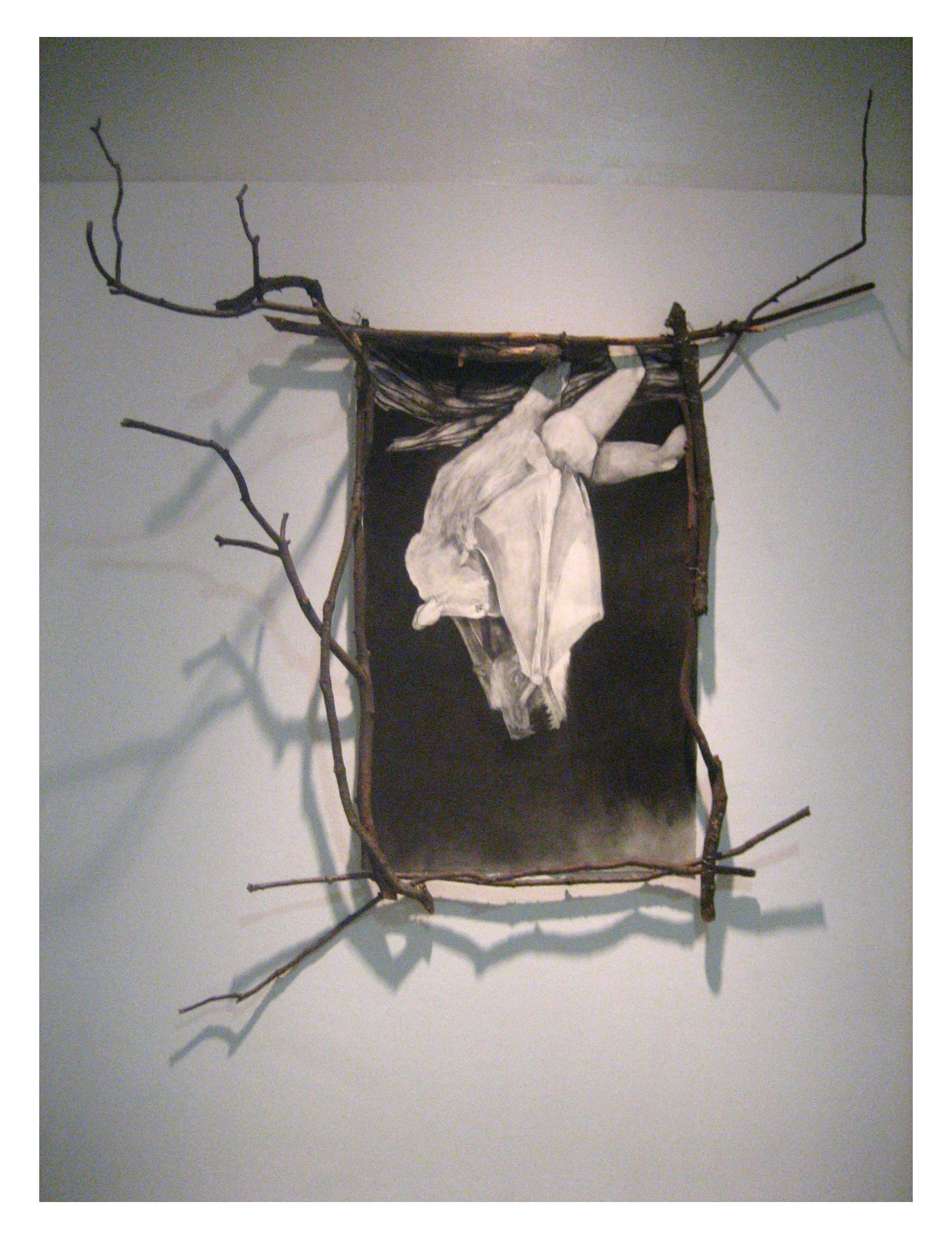 http://kristenbreyer.com/images/blog/archive/fruitbats.jpg
