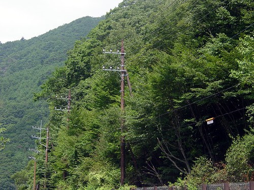 Aoki-ga-hara