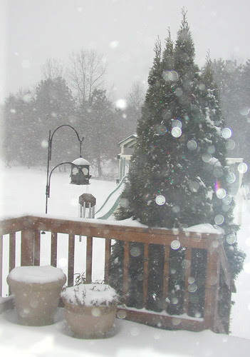 tree snow