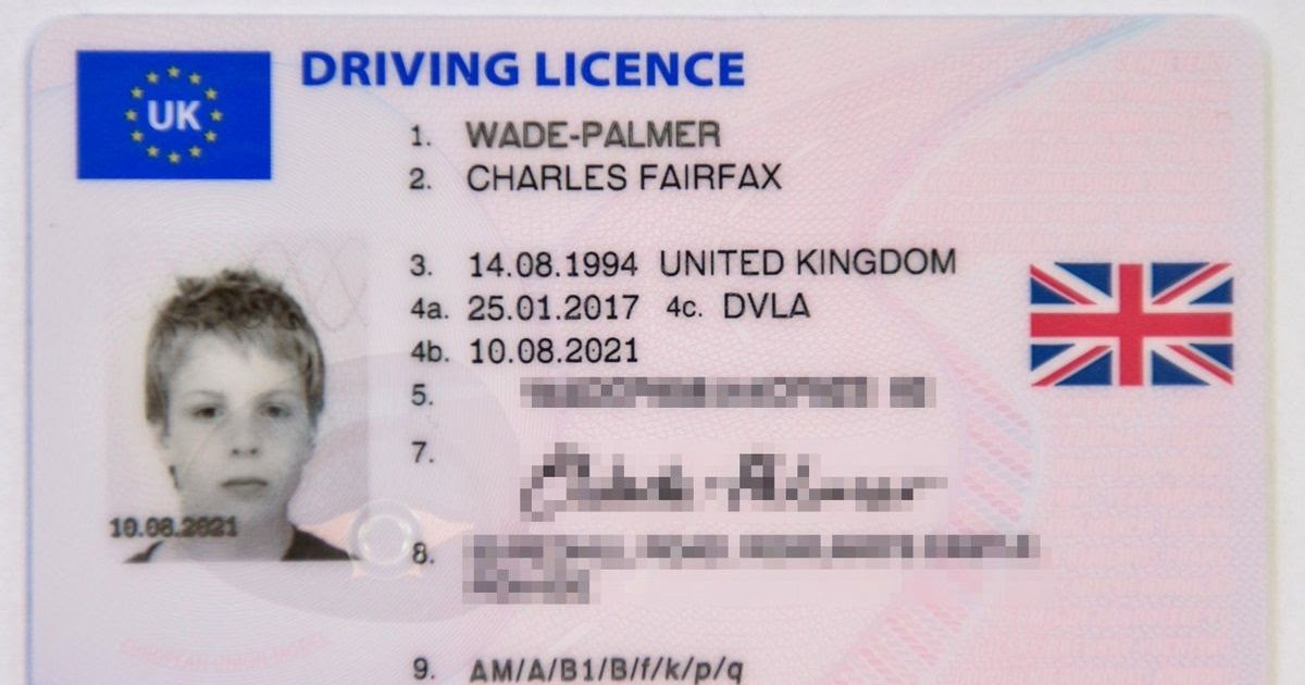 How Can I Download My Driving Licence - LOADRIV