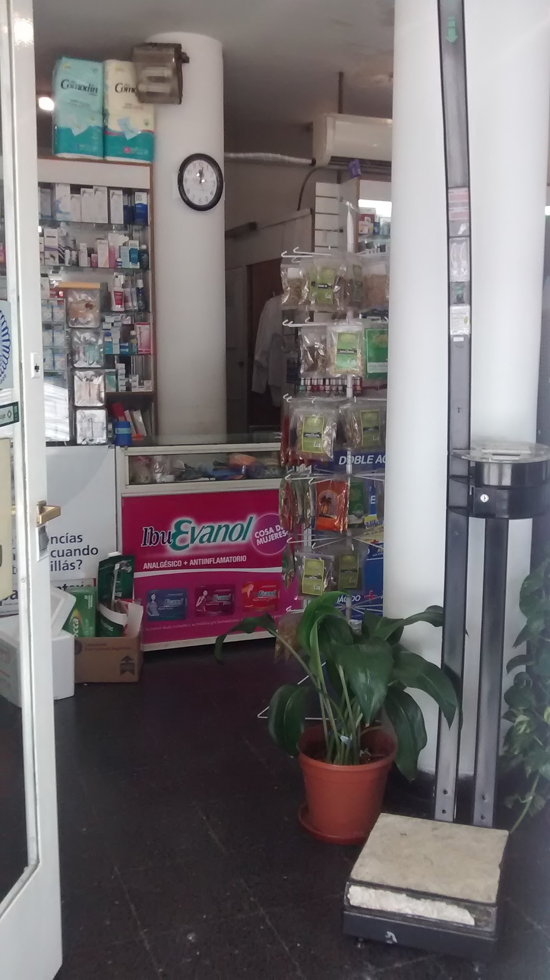 Farmacia Antigua San Carlos
