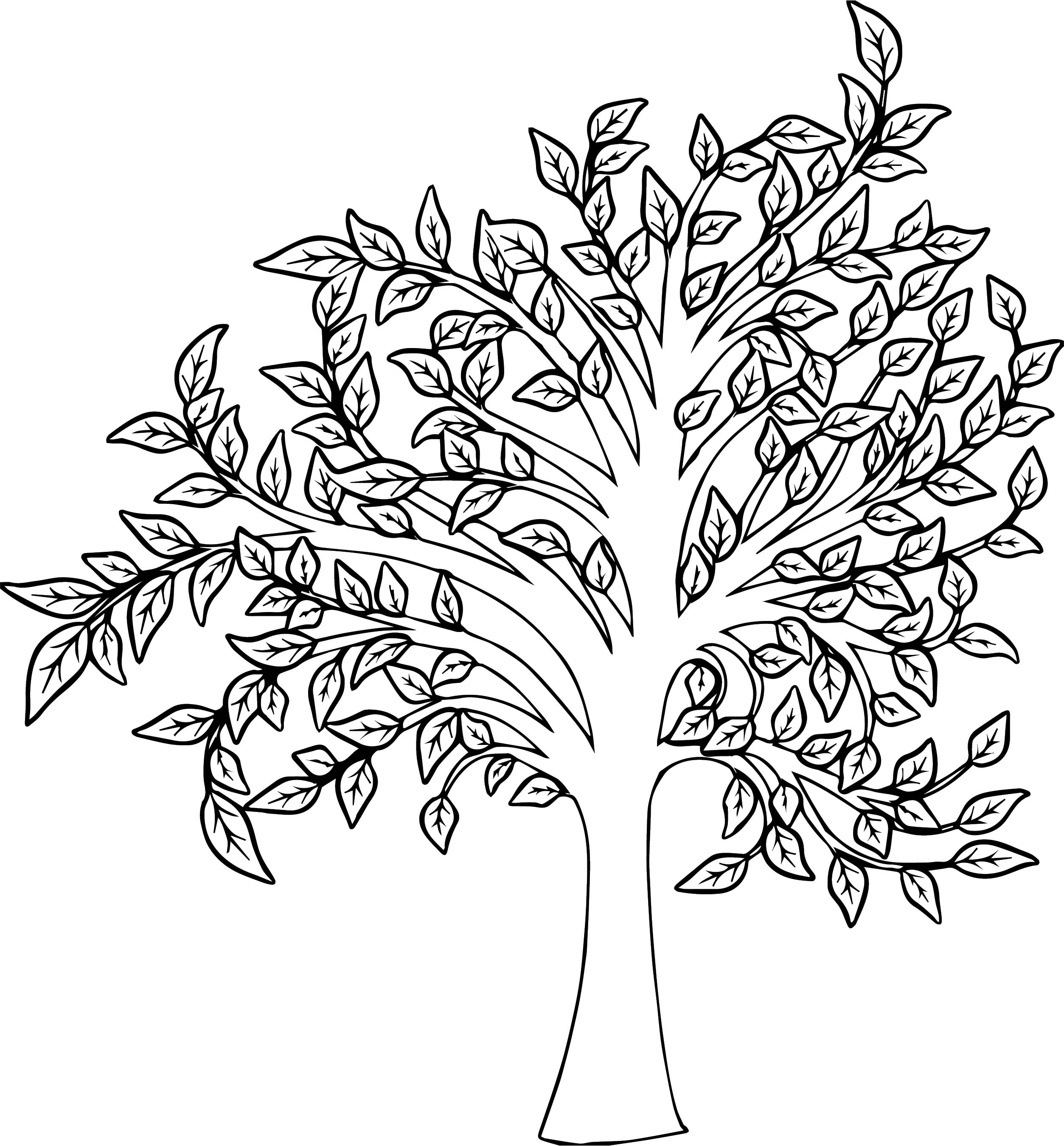 Coloring Pages Of Autumn Trees - Coloring Pages