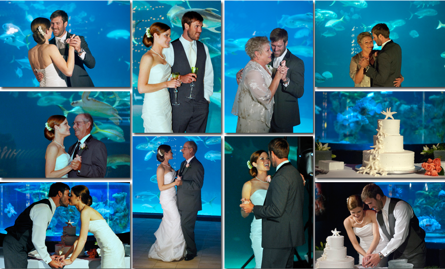 45 Unique Wedding Venues In Charlotte Nc