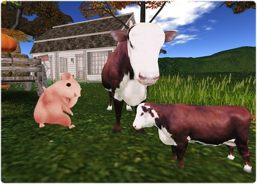 Day 143 - Hi cows!