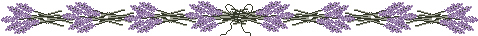 DividerLavender