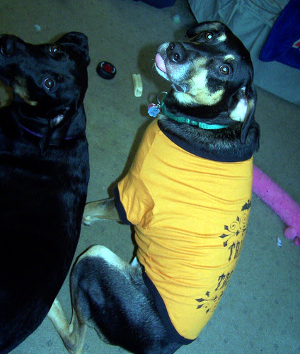 Tut_trickortreat_102107tounge