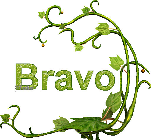Bravo – Félicitations – Super – Génial – Wow | Gifs pour Blogs