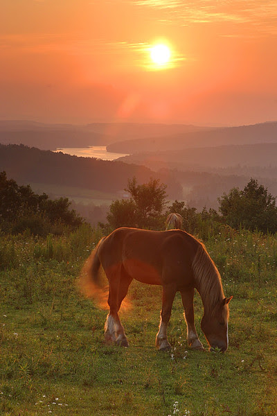 Photo & Video Sharing by SmugMug Photo & Video Sharing by SmugMug