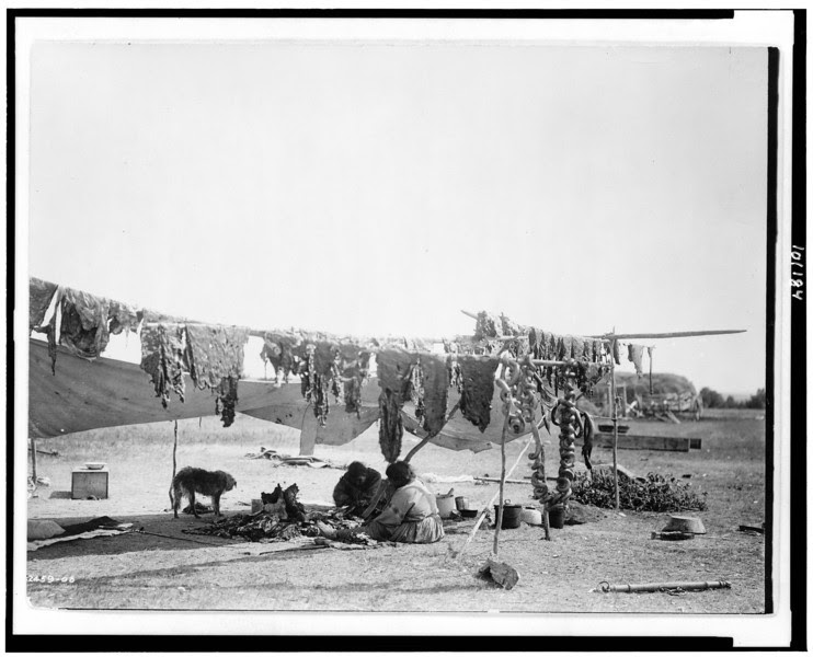 Description of  Title: In camp.  <br />Date Created/Published: 1908.  <br />Summary: Two Dakota Sioux Indians cutting meat and drying it on poles.  <br />Photograph by Edward S. Curtis, Curtis (Edward S.) Collection, Library of Congress Prints and Photographs Division Washington, D.C.