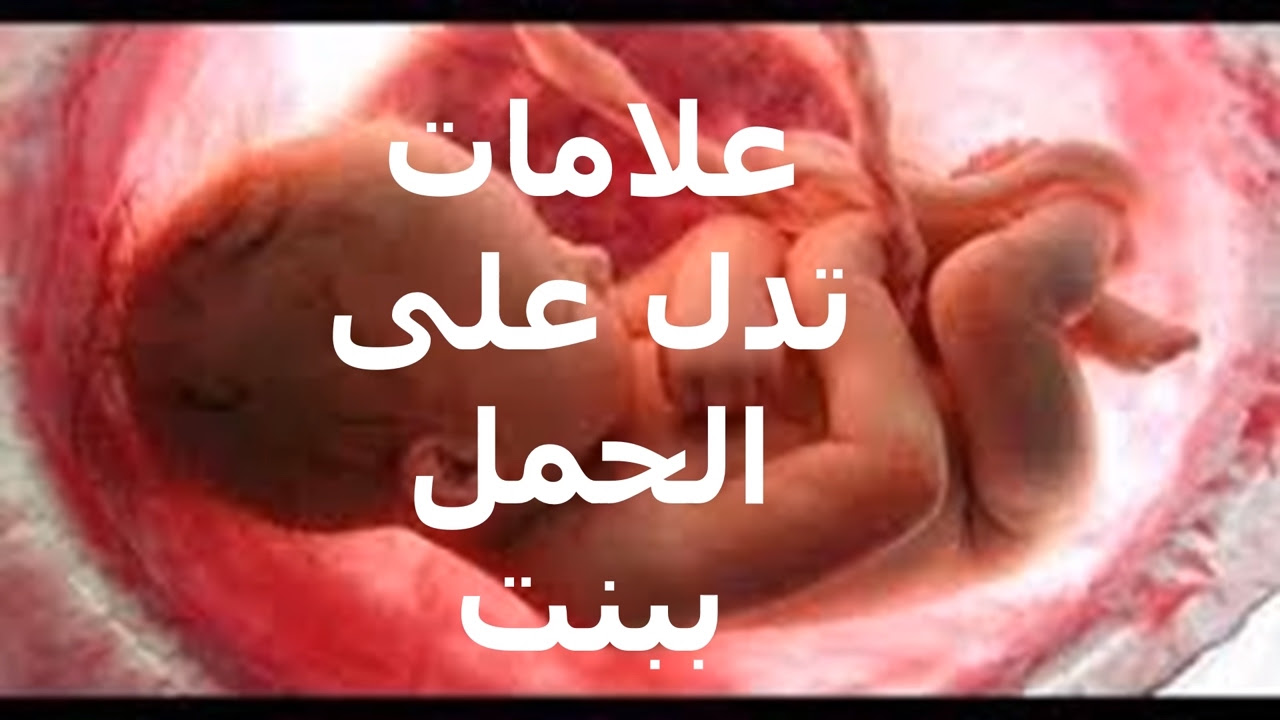 شكل بطن الحامل في الشهر الرابع بولد Shakal Blog
