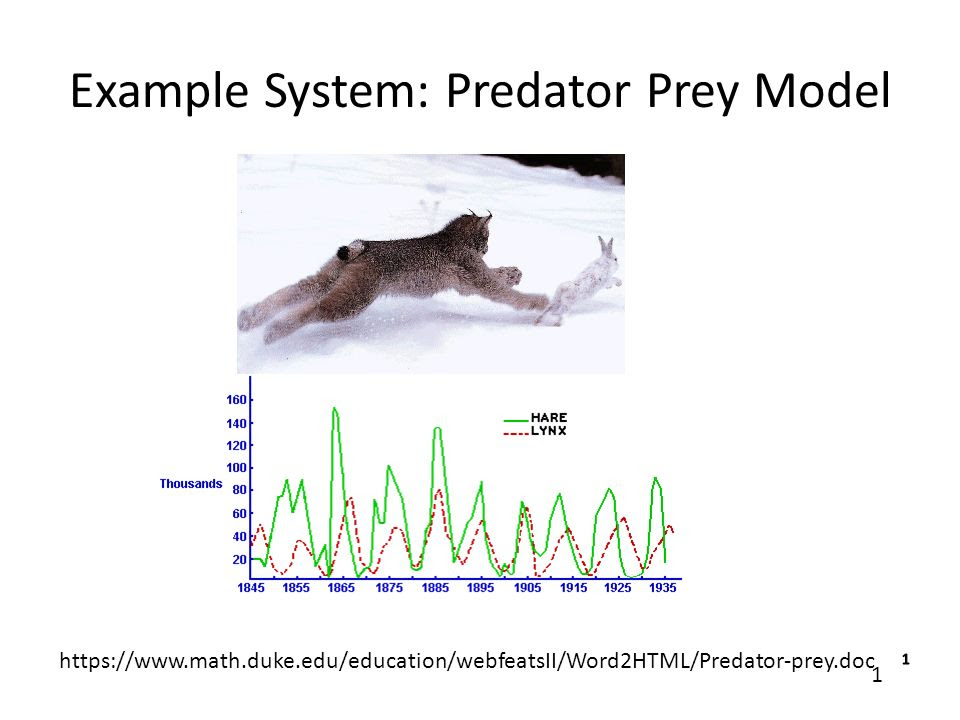 difference between predator and prey class 6