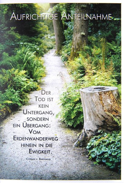 Sprüche Zum Todesfall Haydar Bhutta