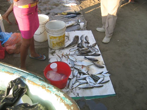 the catch