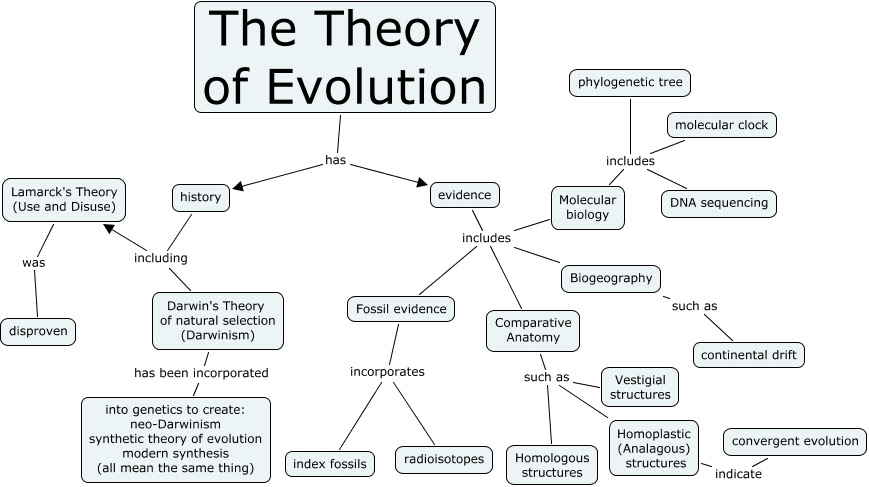 Image result for theory of evolution darwin