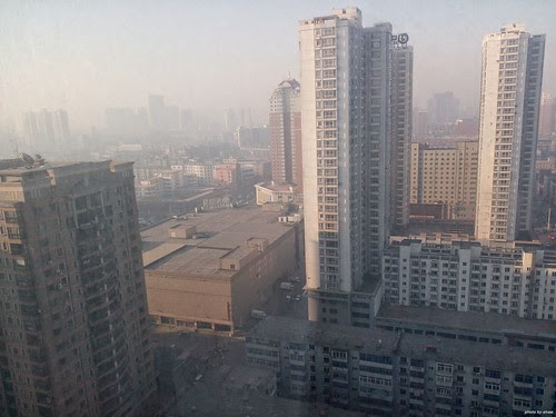 IMG_20150324_070818.jpg