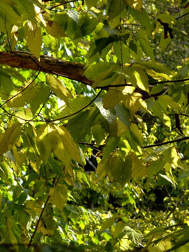P1040804