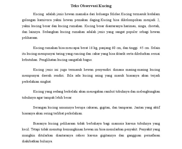 Contoh Teks Observasi Tentang Kucing