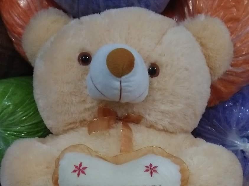 Nama Untuk Boneka Teddy Bear boneka baru