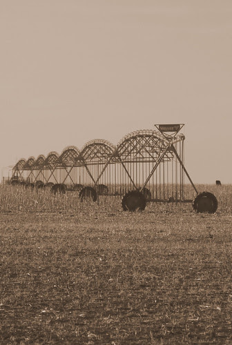 021010 028