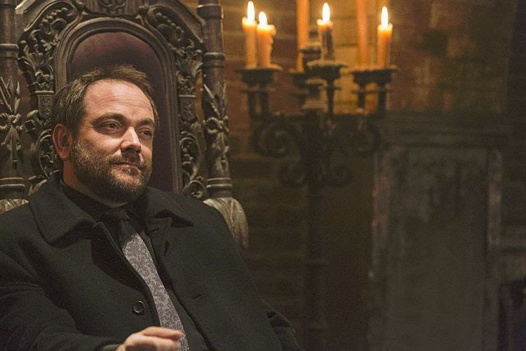 Photo Mark Sheppard
