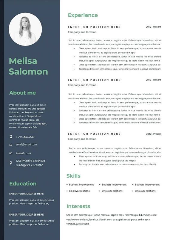 Editable Teacher Resume Template Free Download