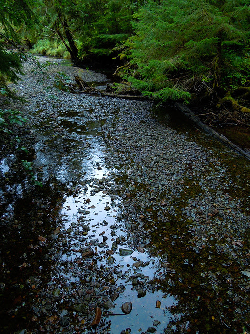 low water level in Son-i-Hat Creek, Kasaan, Alaska