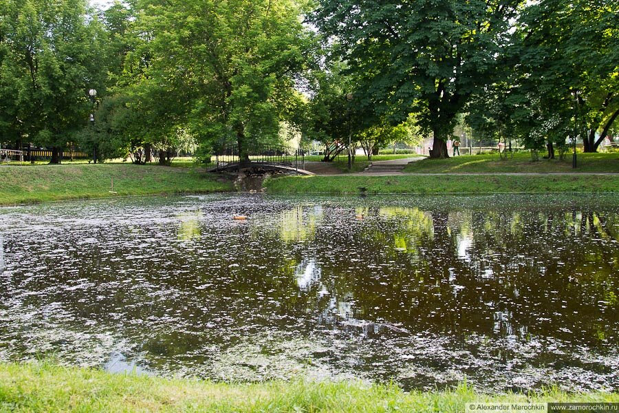 Тополиный пух в Екатерининском парке