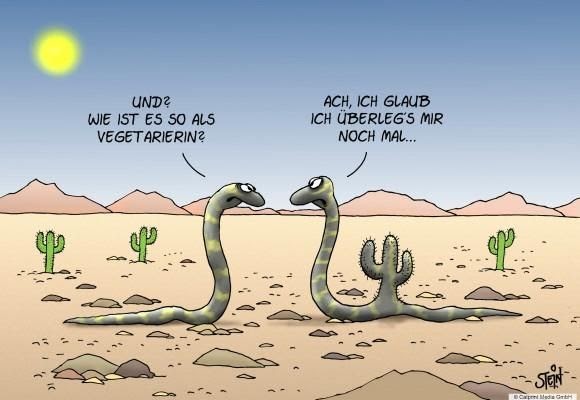 Lustige Sprüche Whatsapp Sticker Schwarzer Humor Schwarzer Humor