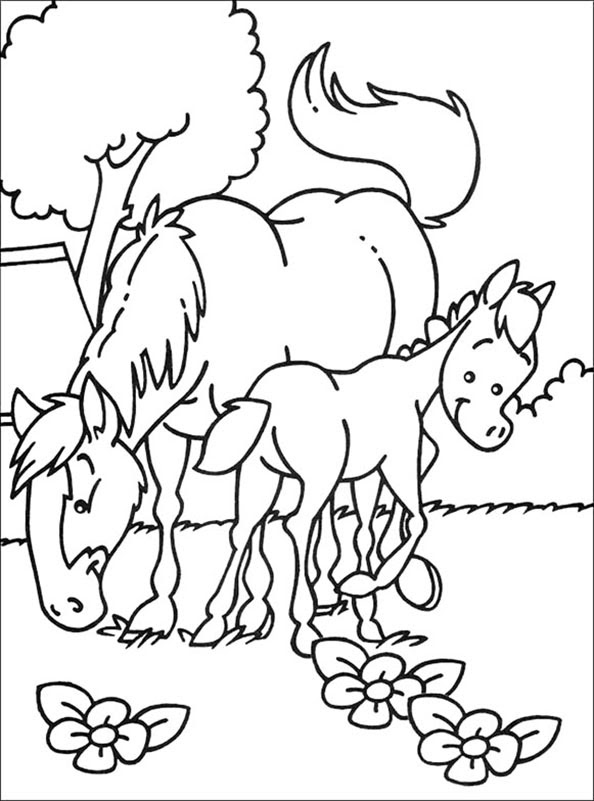 ausmalbilder pferde und ponys mit fohlen  ausmalbild