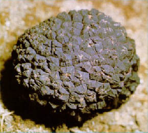 DkXItJTK8hGRlxKNkiB6DsDczt3CqN_jzd0eK0it0-ct3Awoxp2sN8a4ymCDgSf8jq7mWH9_VkAS-sdvMD7EtEUPewp4_r-F6c5KbWXTj2bPjQk5p0BHyfY=s0-d