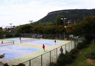 yashima12a.jpg