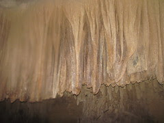 curtain