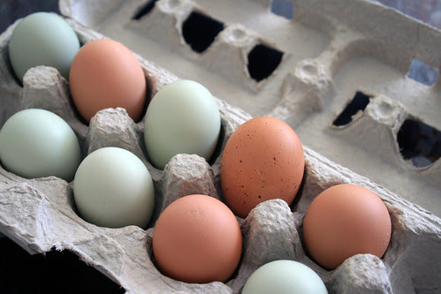 eggs 046