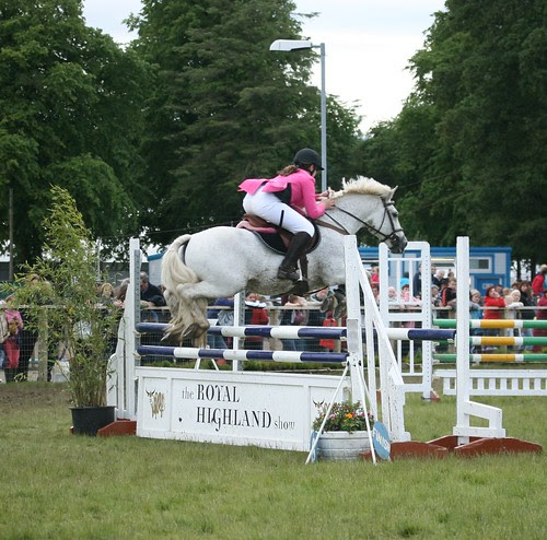Showjumping