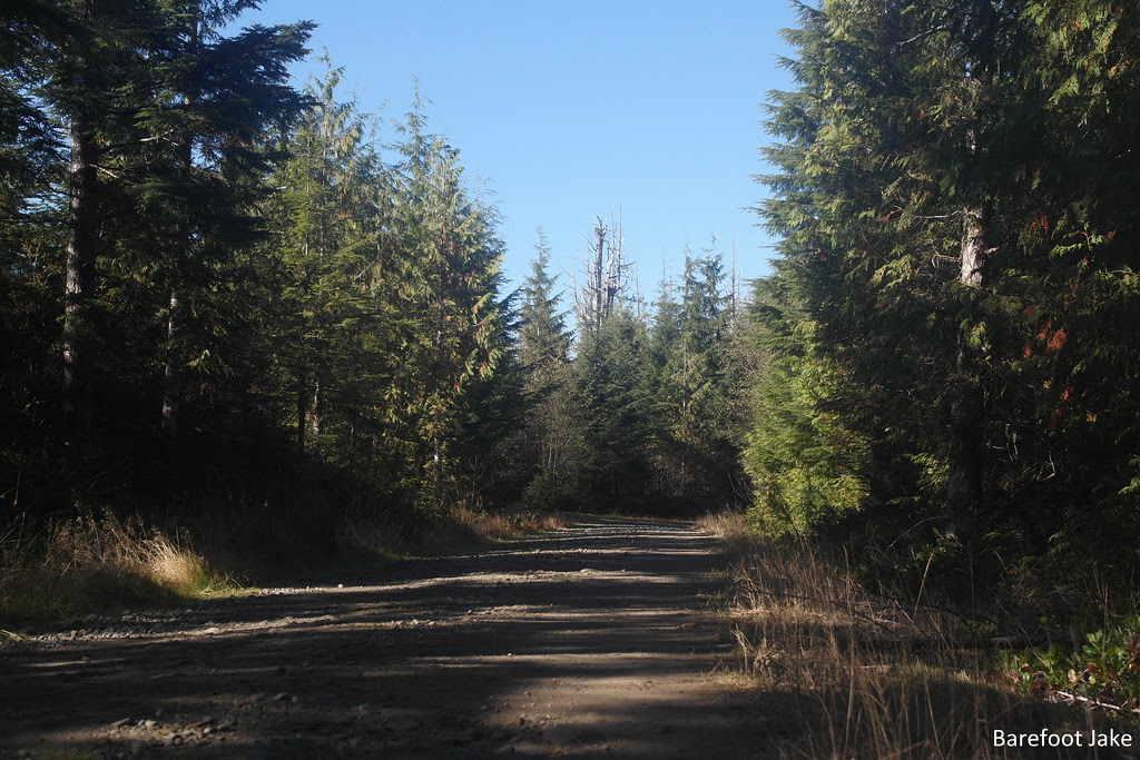 pacific northwest trail road walk